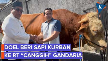 Rano Karno Beri Sapi Kurban Ke RT “Canggih” Gandaria