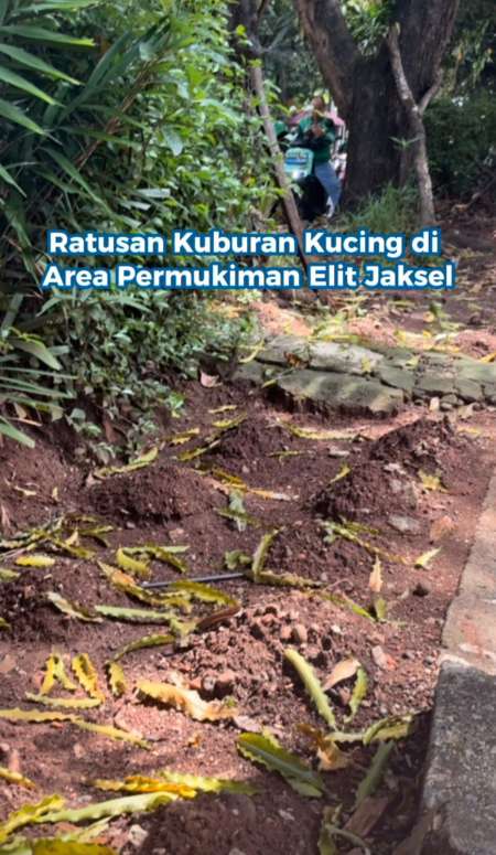 Ratusan Makam Kucing di Perumahan Elit Jaksel