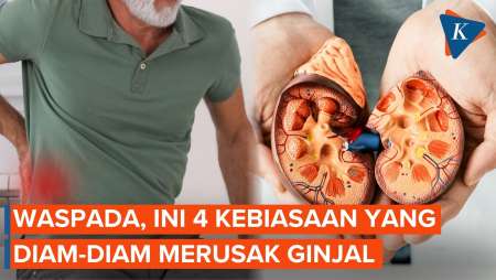 4 Kebiasaan yang Diam-diam Merusak Ginjal