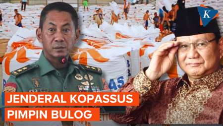 Novi Helmy Prasetya, Jenderal Berdarah Kopassus Ditunjuk Urus Bulog