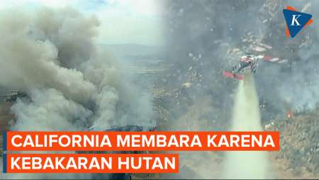 Rekaman Udara Penampakan Kebakaran Hutan Di AS, Picu Perintah Evakuasi