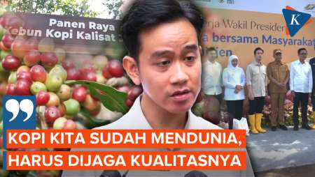 Panen Kopi di Bondowoso, Gibran: Kopi Kita Sudah Mendunia