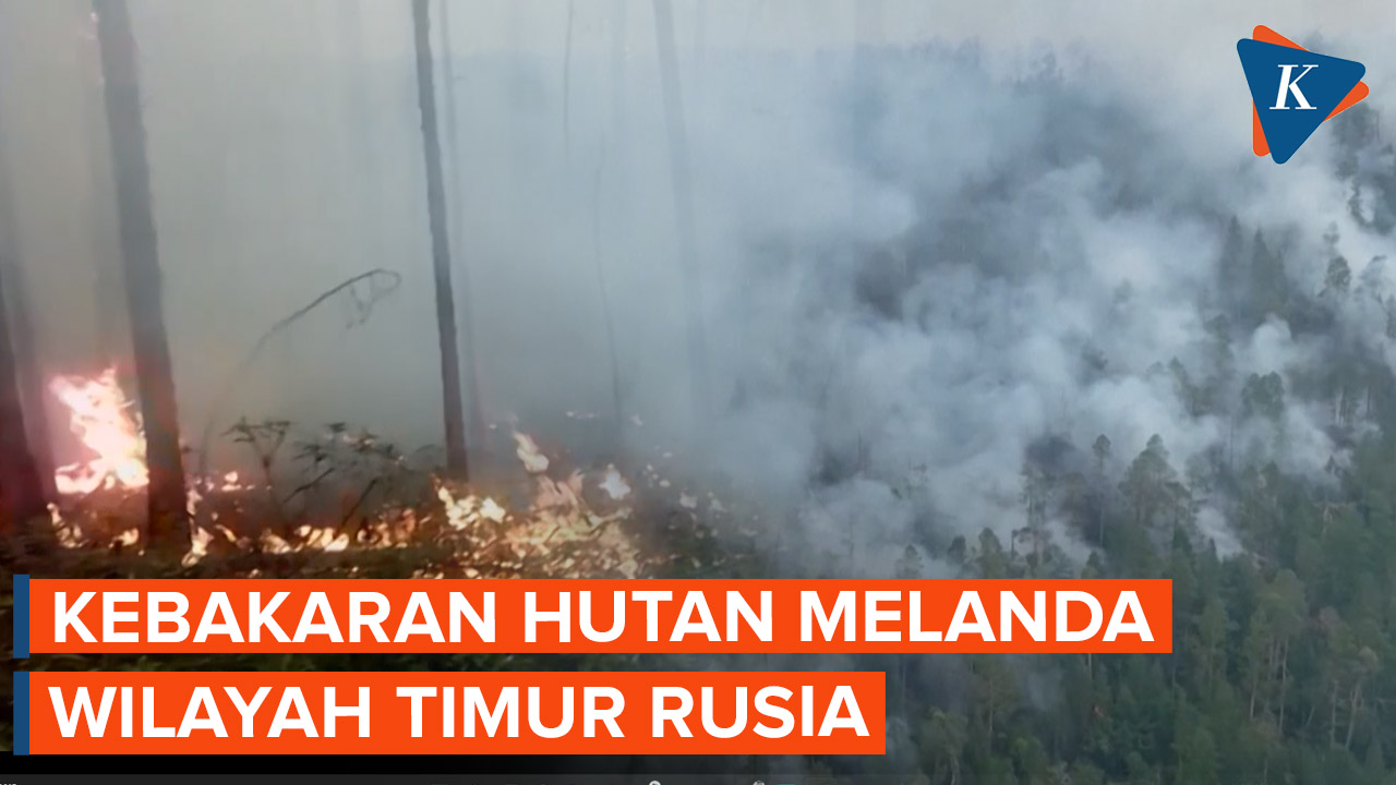Kebakaran Hutan Melanda Wilayah Timur Rusia