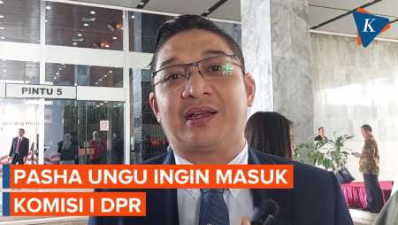 Punya Relasi di TNI, Pasha Ungu Ingin Masuk Komisi I DPR