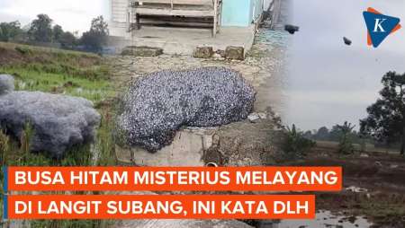 Busa Hitam Misterius Beterbangan Di Subang, Begini Kata DLH Jabar