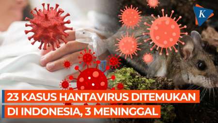 23 Kasus Hantavirus Terdeteksi Di Indonesia, Tingkat Kematian 13 Persen