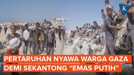 Taruhan Nyawa atau Mengemis: Pilihan Warga Gaza demi Sekantong “Emas Putih”