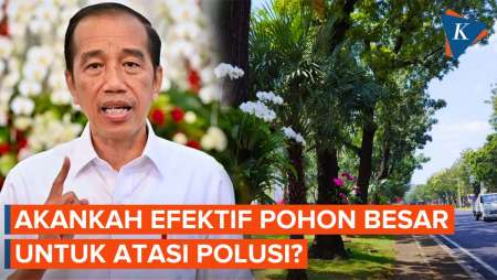 Saat Jokowi Ajak Tanam Pohon Besar untuk Perangi Polusi Jakarta...