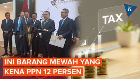 PPN 12 Persen Akan Berlaku Januari 2025, DPR RI: Diterapkan Pada Barang Mewah