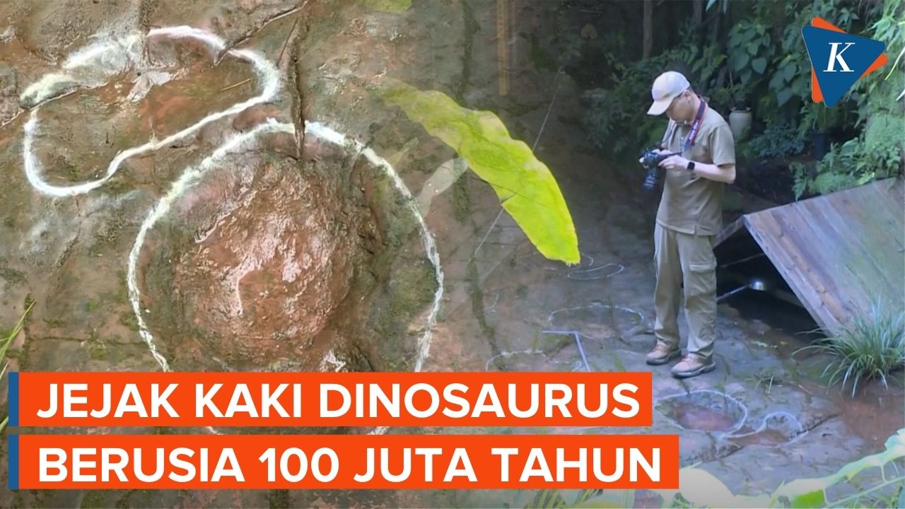 Jejak Kaki Dinosaurus Ditemukan di Restoran