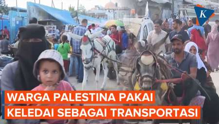 Warga di Gaza Pakai Kereta Keledai karena Bahan Bakar Habis