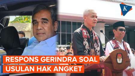 Sekjen Gerindra Sebut Hak Angket untuk Usut Kecurangan Pemilu Tak Butuh Diajukan