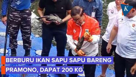 Di Kelapa Gading, Pramono Anung Janji Basmi Tuntas Ikan Sapu-Sapu
