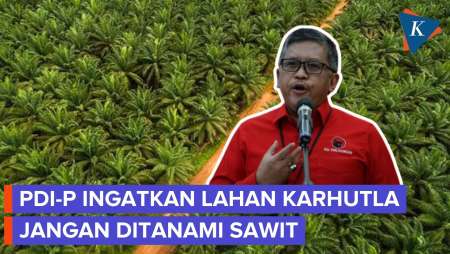 Singgung Penanganan Karhutla, Hasto PDI-P: Wajib Reboisasi, Tidak Boleh Sawit
