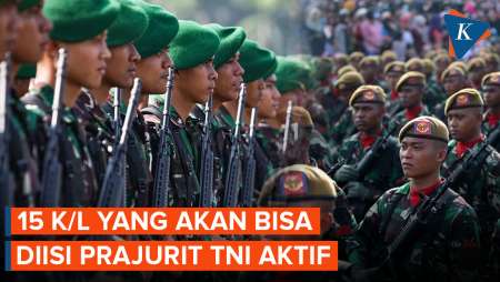 Daftar 15 Kementerian dan Lembaga yang Akan Bisa Diisi Prajurit TNI Aktif