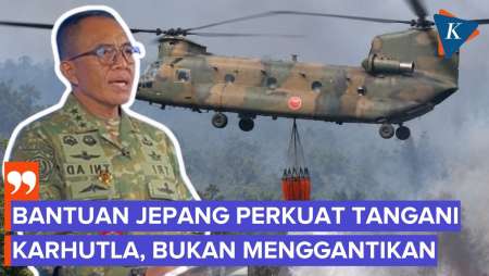 Jepang Bantu Indonesia Tangani Karhutla, TNI: Bukan Gantikan Kemampuan Nasional