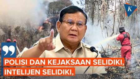 Prabowo: Polisi Dan Kejaksaan Selidiki Siapa Pun Yang Ikut Menyuruh Membakar-bakar Hutan