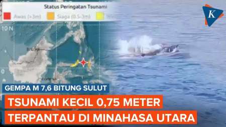 Gempa M 7,6 Guncang Bitung Sulut, Tsunami Kecil 0,75 Meter Terpantau Di Minahasa Utara