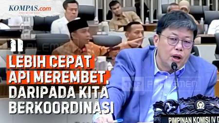 DPR Vs Menhut Soal Karhutla: Kritik Terlalu Banyak Pintu Koordinasi, "Ribet" Penanganan