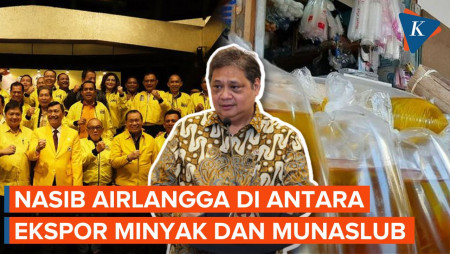 Airlangga Hartarto di Tengah Kasus Minyak Goreng dan Munaslub Golkar