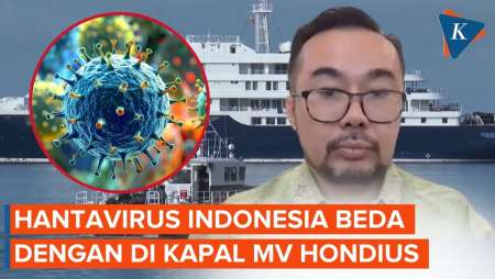 Kemenkes: Hantavirus Di Indonesia Beda Dengan Di Kapal Pesiar MV Hondius