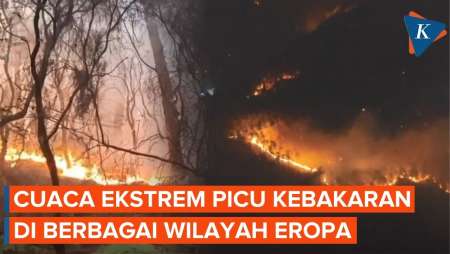 Kebakaran Hutan Hebat Melanda Sejumlah Negara Eropa