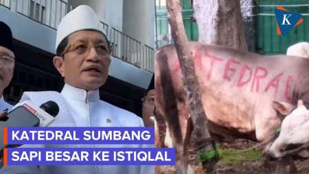 Katedral Sumbang Sapi Besar Ke Istiqlal, Rayakan Idul Adha