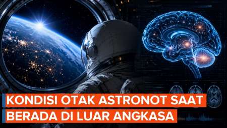 Apa yang Terjadi pada Otak Astronot Saat Berada di Luar Angkasa?
