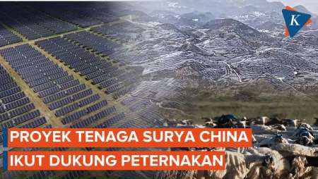 Menakjubkan! Proyek Tenaga Surya Di China Turut Dukung Peternakan Warga Lokal