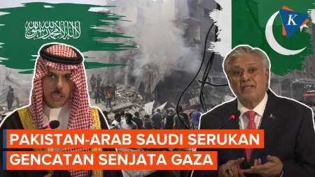 Pakistan dan Arab Saudi Serukan Gencatan Senjata dan Bantuan Segera untuk Gaza