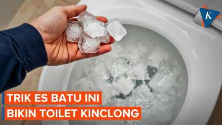Rutin Buang Es Batu ke Kloset Seminggu Sekali, Ini Manfaatnya