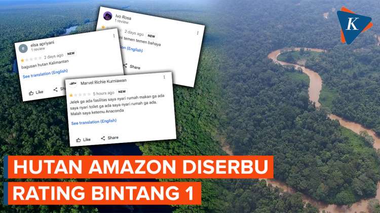 Netizen Amazon Collection Video: Hutan Amazon Diserbu Rating Bintang 1 di Google Maps oleh ...