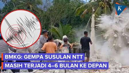 BMKG: Gempa Susulan Di Flores Diperkirakan Masih Terjadi Sampai 4-6 Bulan