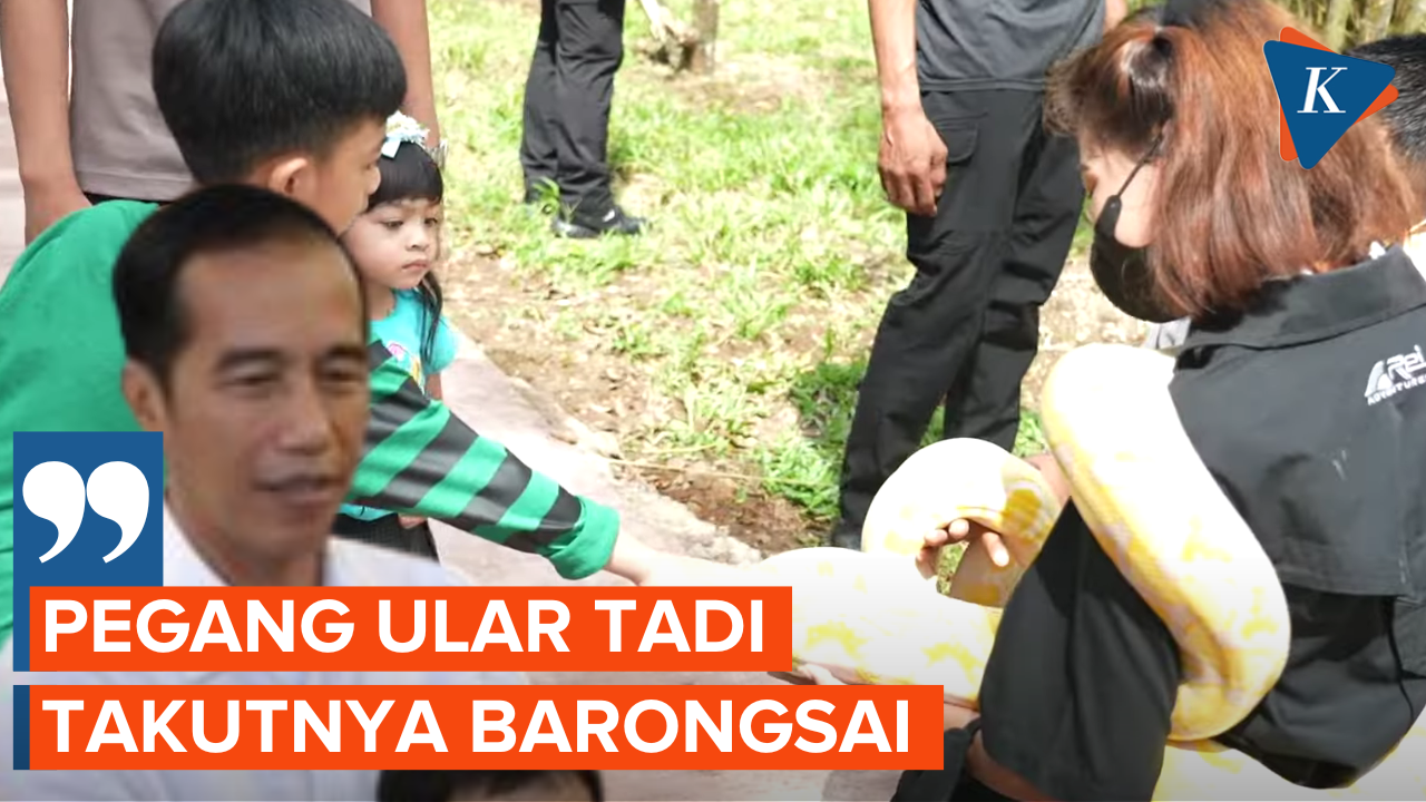 Keseruan Jokowi Momong Cucu Sambil Blusukan Cek Revitalisasi Solo Safari