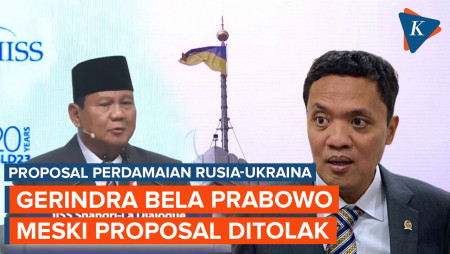 Proposal Ditolak Ukraina, Gerindra Tetap Bela Prabowo