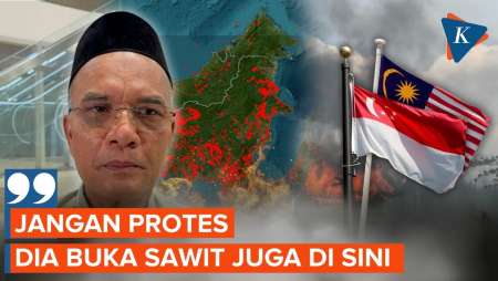 Asap Karhutla Kalimantan Sampai Singapura-Malaysia, Komisi VIII: Jangan Protes