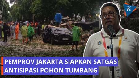 Bang Doel: Pemprov Siapkan Satgas 24 Jam Antisipasi Pohon Tumbang di Musim Hujan