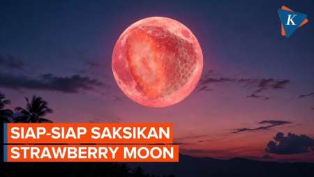 Strawberry Moon Hiasi Langit Indonesia, Kapan Puncaknya?