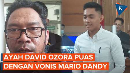 Ayah David Ozora Puas dengan Vonis 12 Tahun Penjara terhadap Mario Dandy