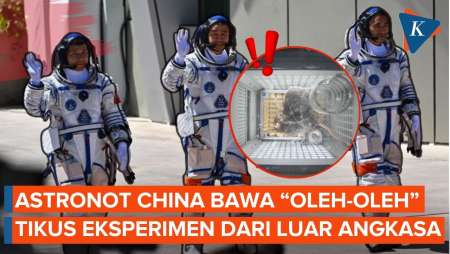Pulang Ke Bumi, Astronot Shenzhou-20 China Bawa Tikus Eksperimen