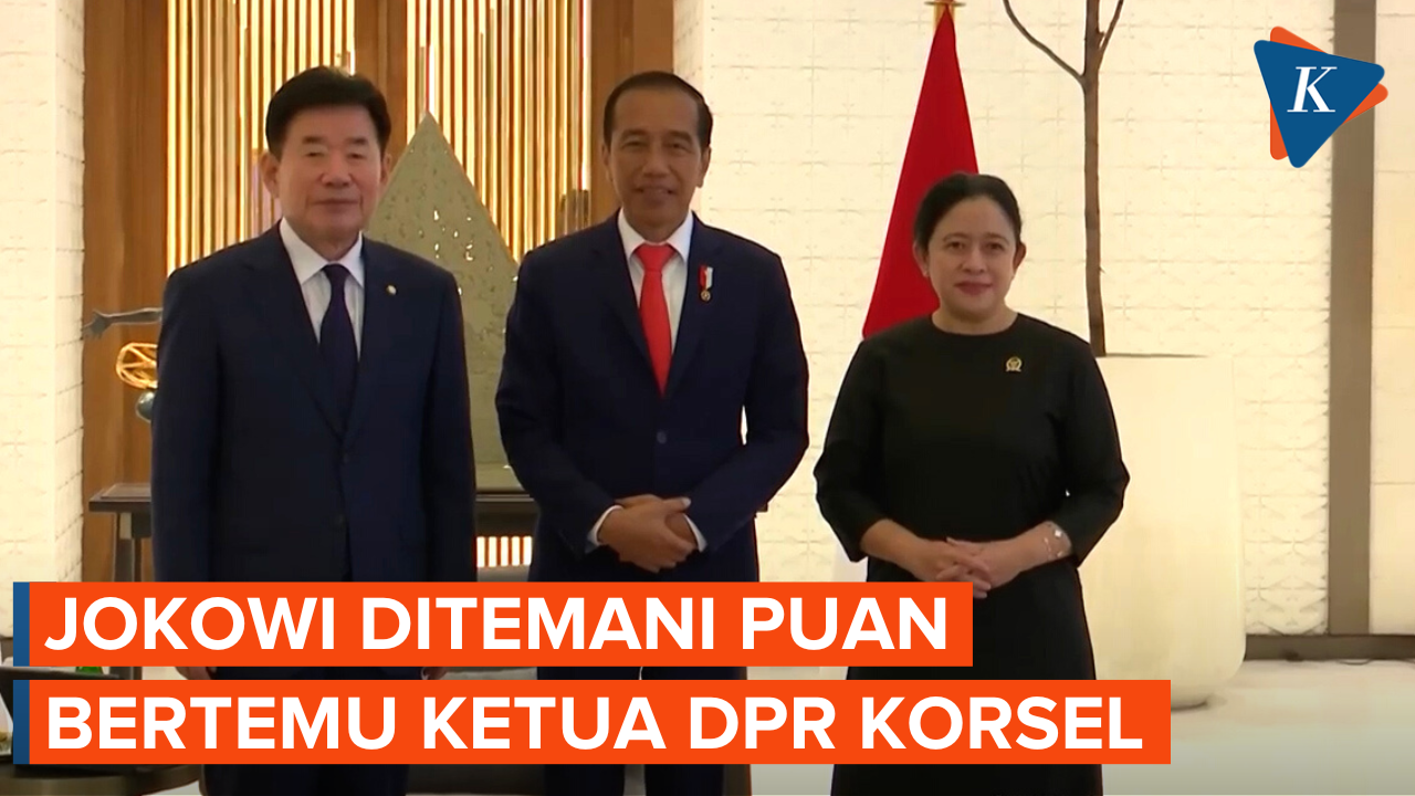 Di Hadapan Ketua DPR Korsel, Jokowi Harap Kedamaian Semenanjung Korea Terjaga