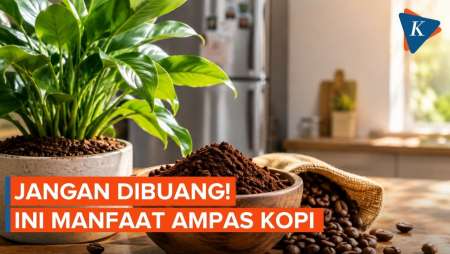 Manfaat Ampas Kopi yang Jarang Diketahui, Bisa untuk Tanaman dan Kulkas
