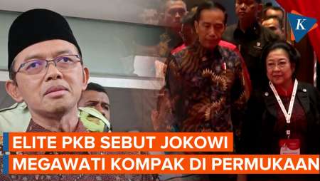 Elite PKB: Jokowi-Megawati Kompak di Permukaan, tapi Aslinya Berseberangan