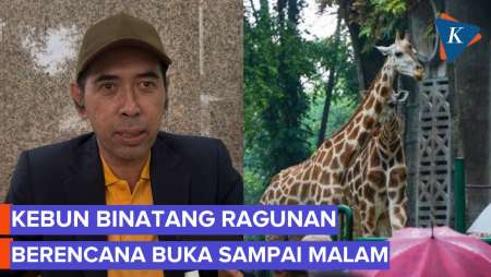 Siap-siap, Ragunan Akan Buka Malam Hari