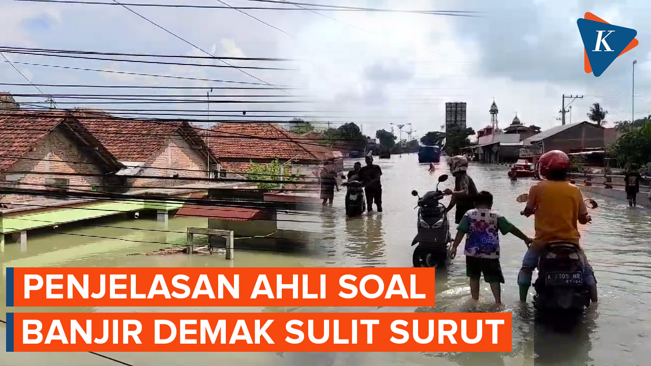 Sebabkan Pemilu di 10 Desa Ditunda, Mengapa Banjir di Demak Sulit Surut?