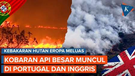 Kebakaran Hutan Eropa Meluas, Kobaran Api Besar Muncul di Portugal dan Inggris