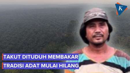 Masyarakat Adat Tanah Putih Takut Dituduh Membakar, Tradisi Berladang Padi Hilang