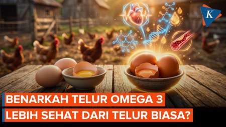 Manfaat Telur Omega 3 Yang Jarang Diketahui