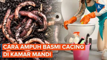 Cara Menghilangkan Cacing di Kamar Mandi