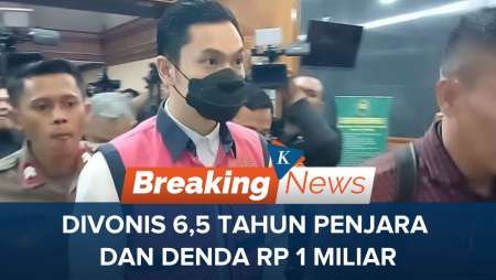 Harvey Moeis Divonis 6,5 Tahun Penjara atas Kasus Korupsi Timah